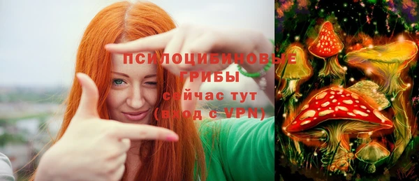 ALPHA-PVP Алексеевка