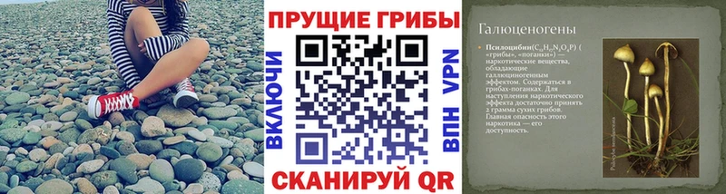 Псилоцибиновые грибы MAGIC MUSHROOMS  Купить  Богородск 